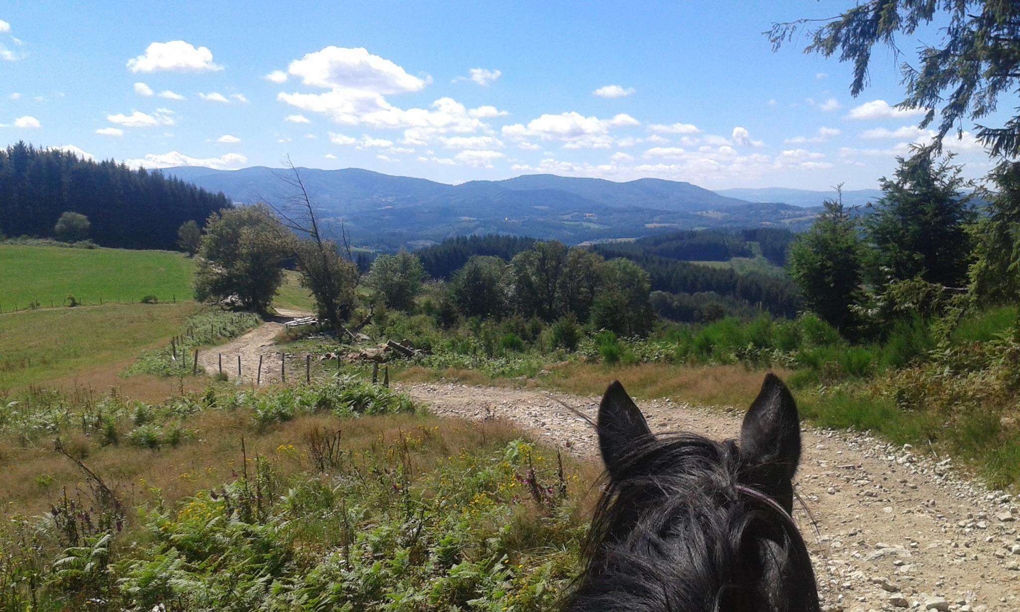 Astuces pour réussir à partir seul en balade à cheval