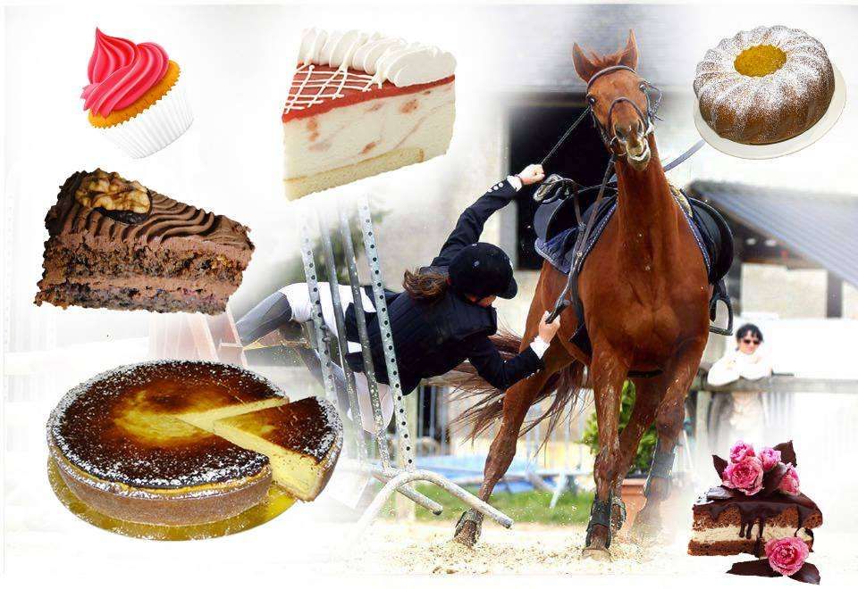 Quel gâteau de cavalier vous correspond ?
