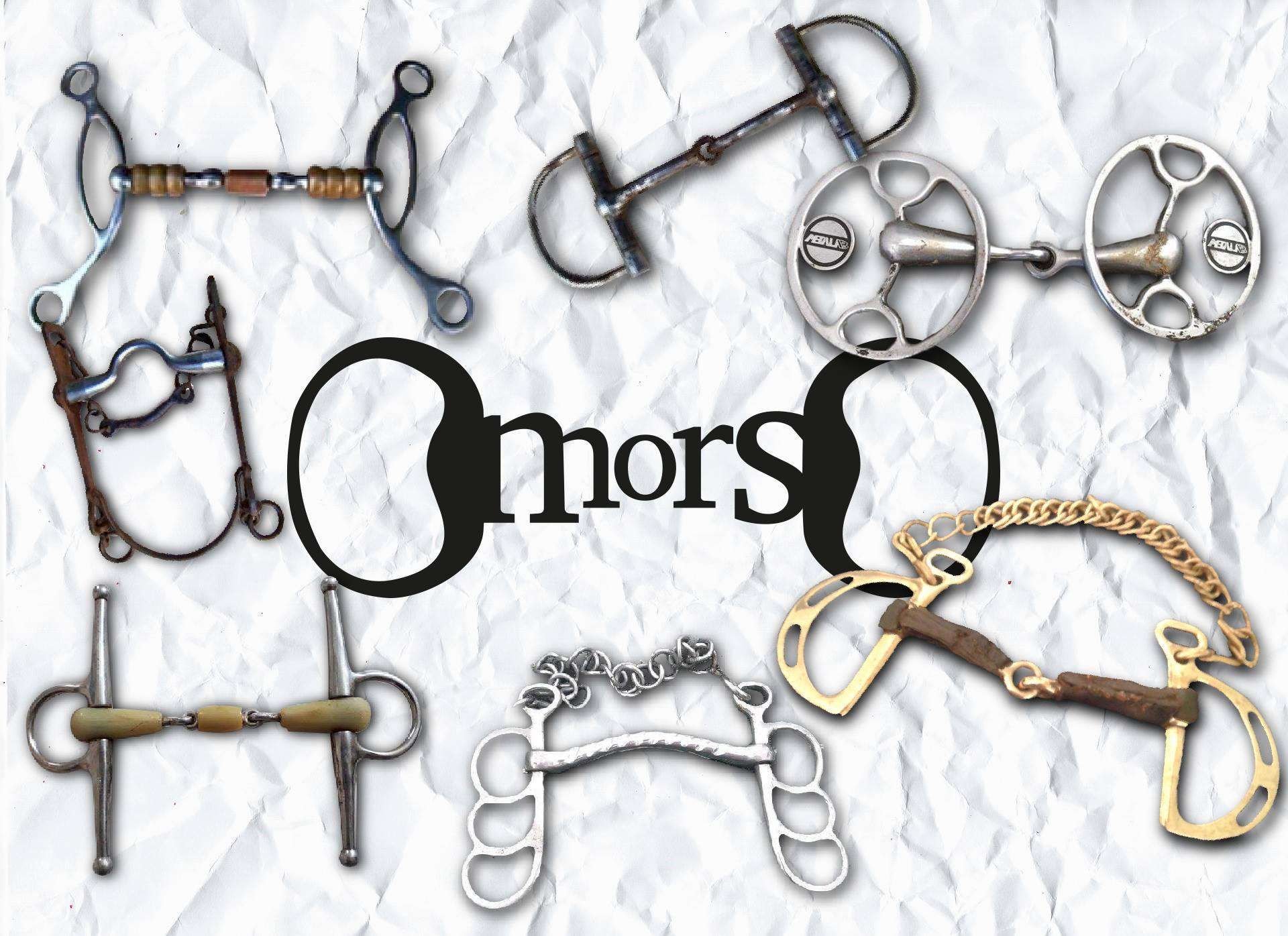 Les différents mors et leur usage : Le guide complet