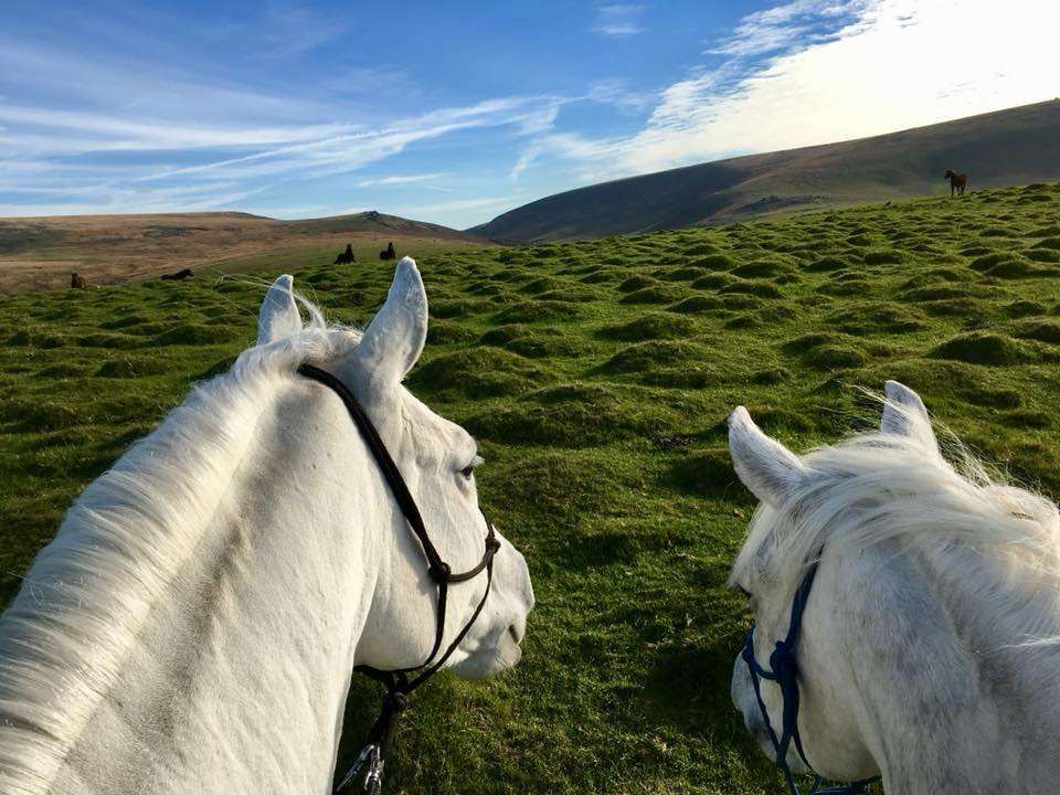 Les bons plans pour s’évader à cheval