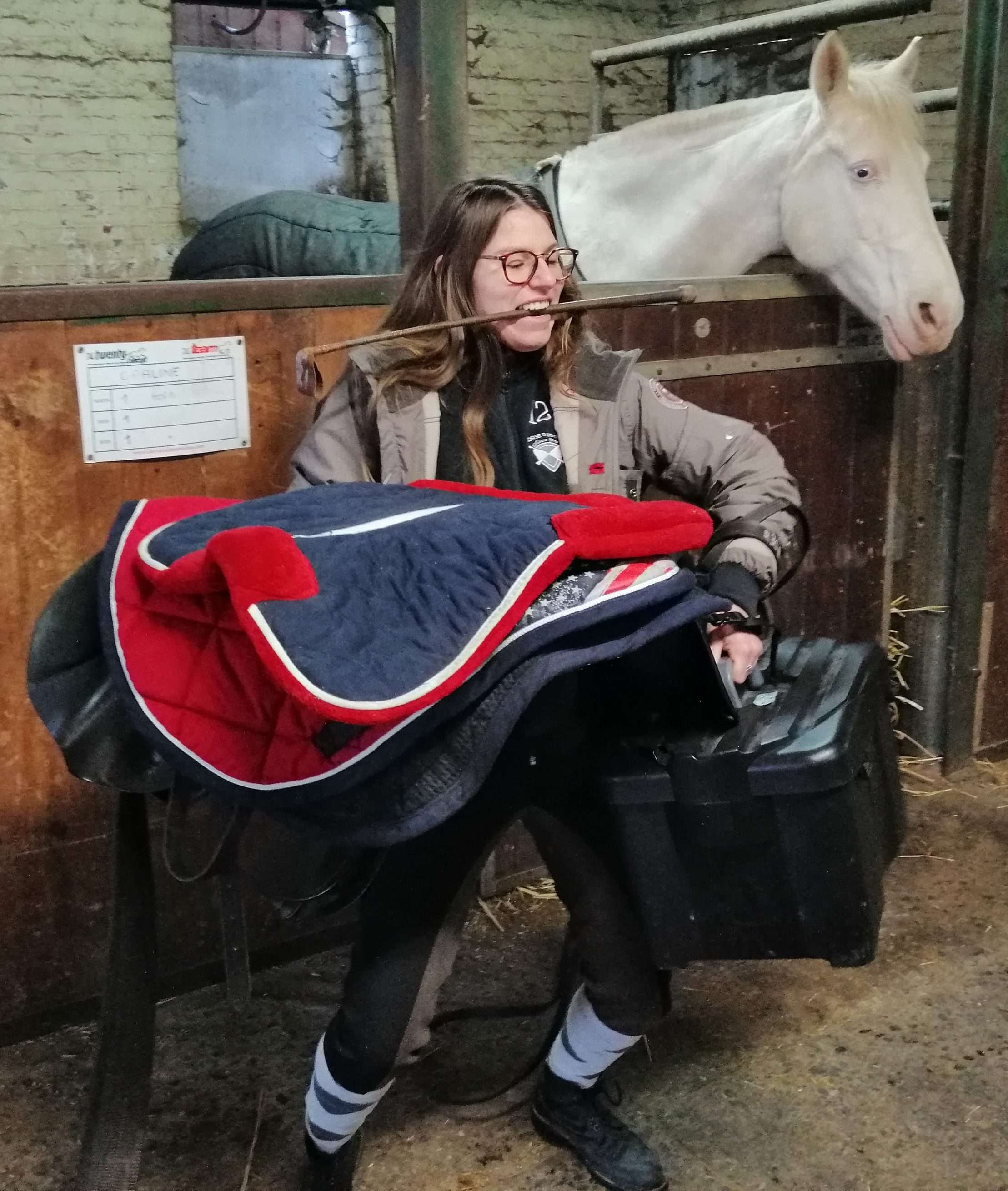 Portrait robot du cavalier fragile