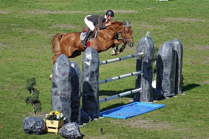 Qu’est ce que l’iso d’un cheval ?