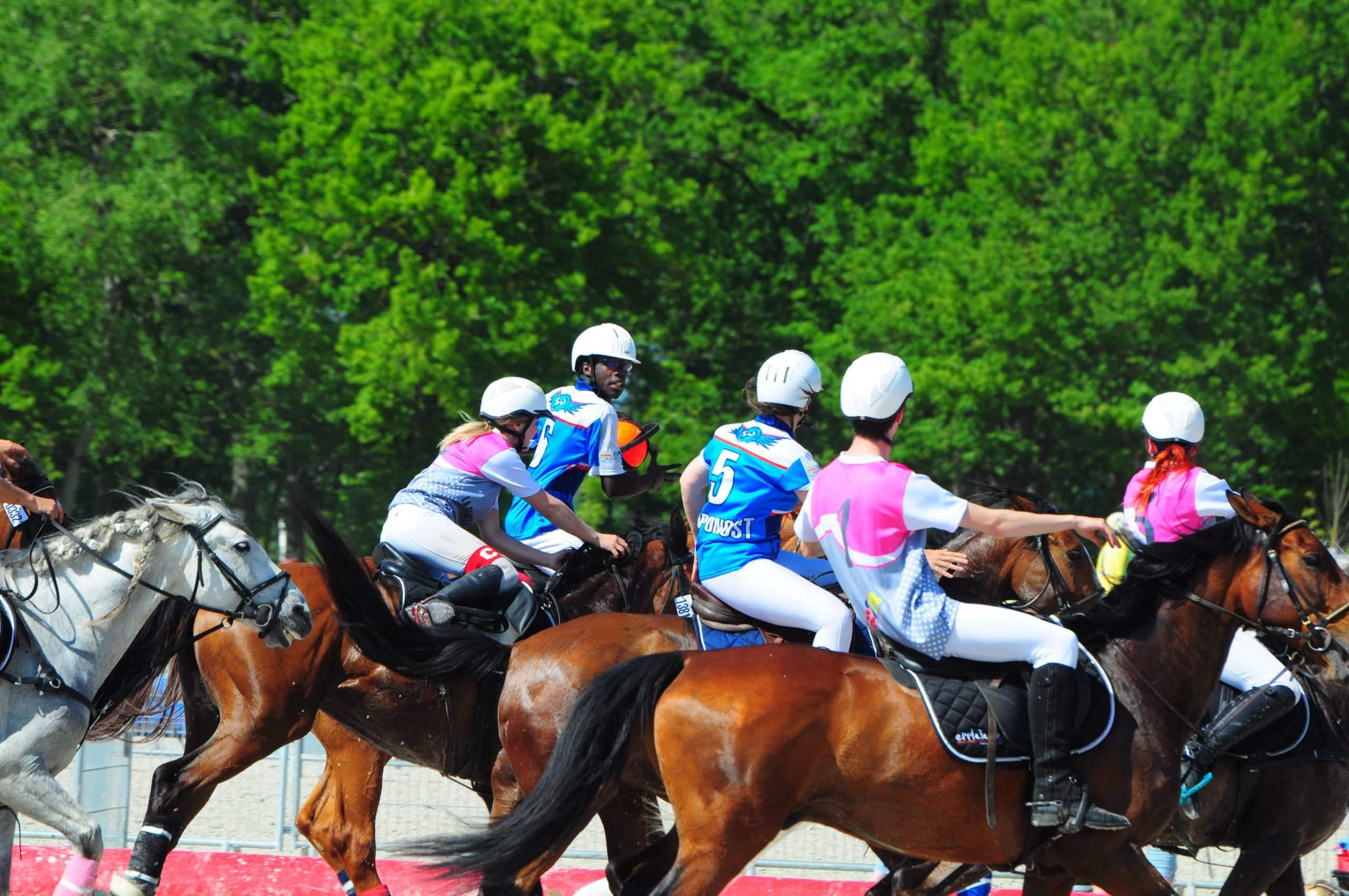 Le horse-ball : Le guide complet