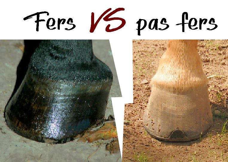 Ferrer son cheval ou non : la bataille ultime