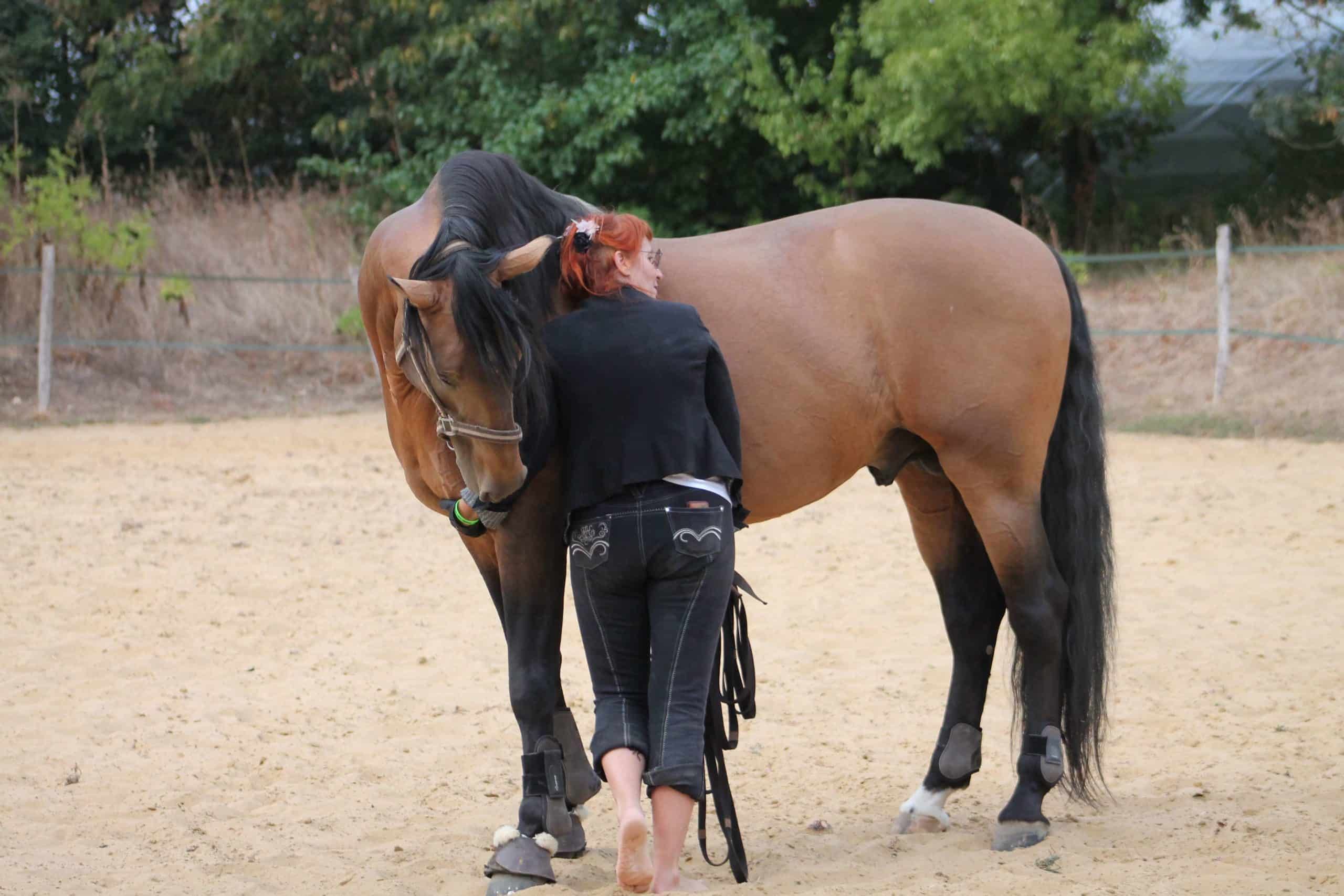 Obtenir une relation de confiance avec son cheval