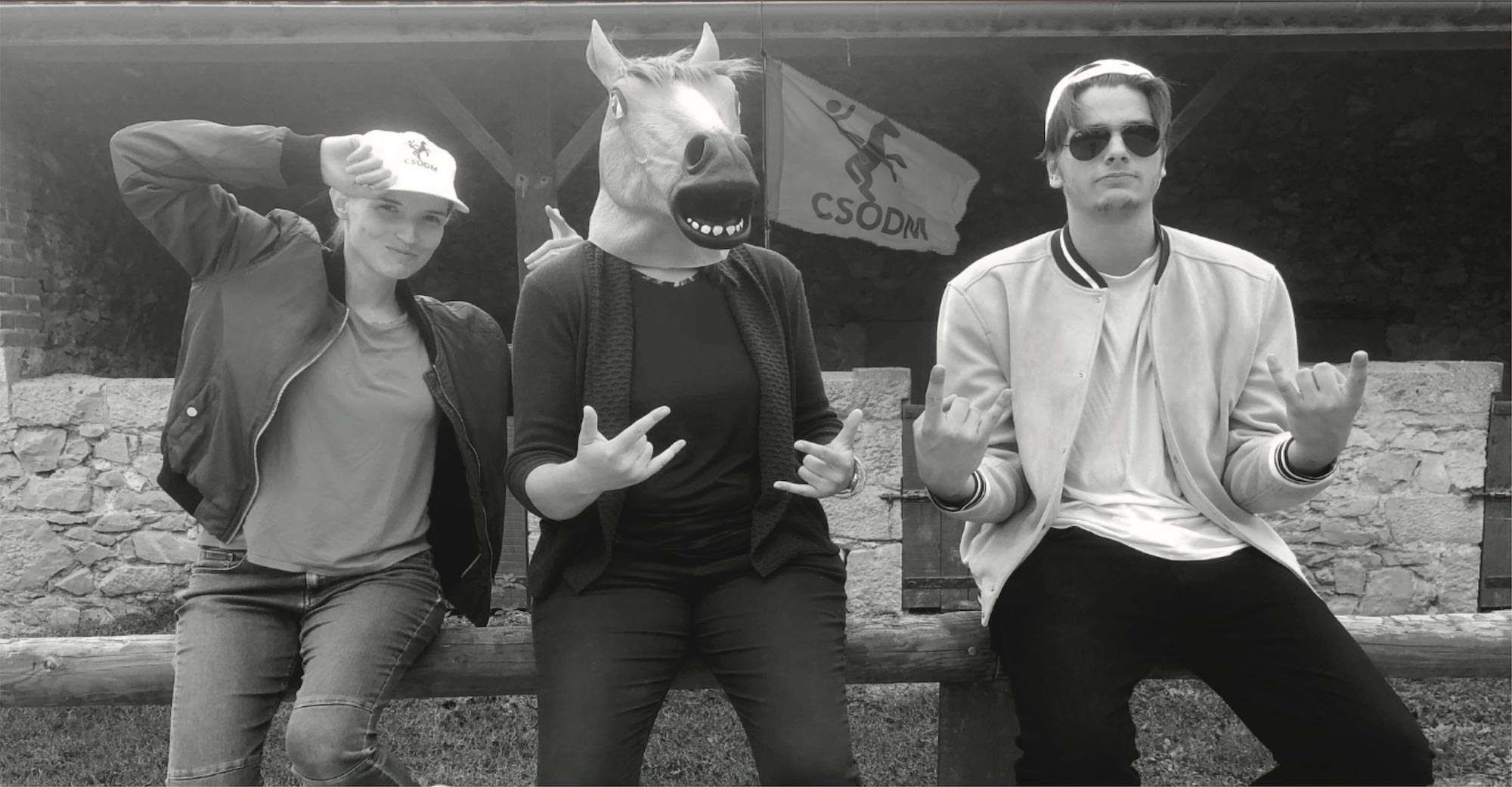10 bonnes raisons de rejoindre la team Ponyscope