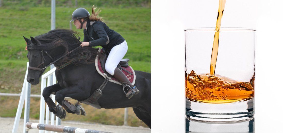 Quel apéro de cavalier pour quelle discipline équestre ?