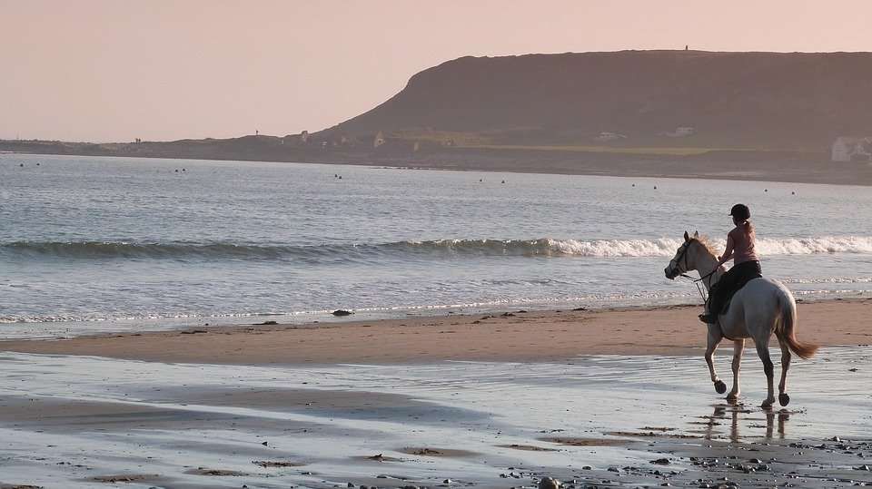 Les 5 commandements d'une balade à la plage parfaite