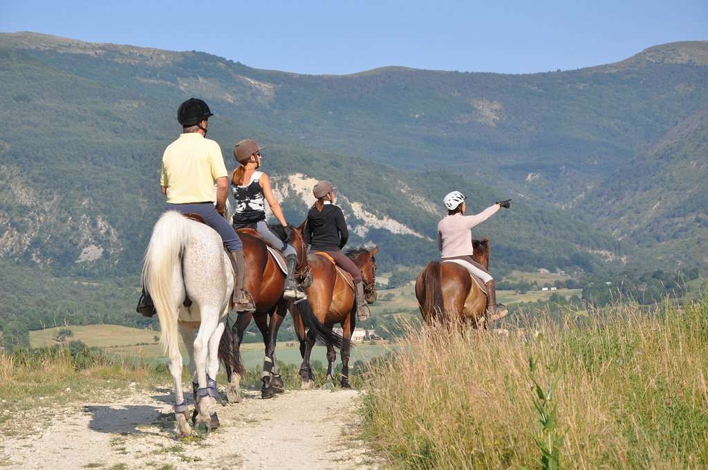 Top 10 des choses que le cavalier déteste en balade à cheval