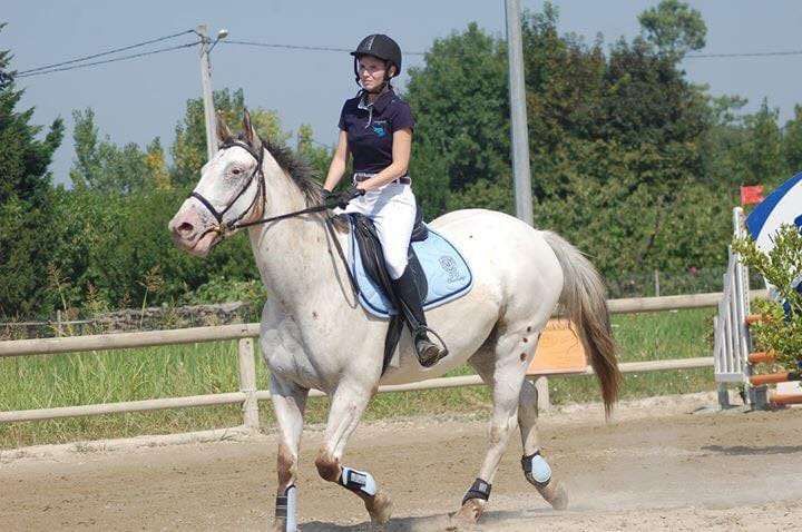 Les meilleures couleurs pour mettre en valeur son cheval