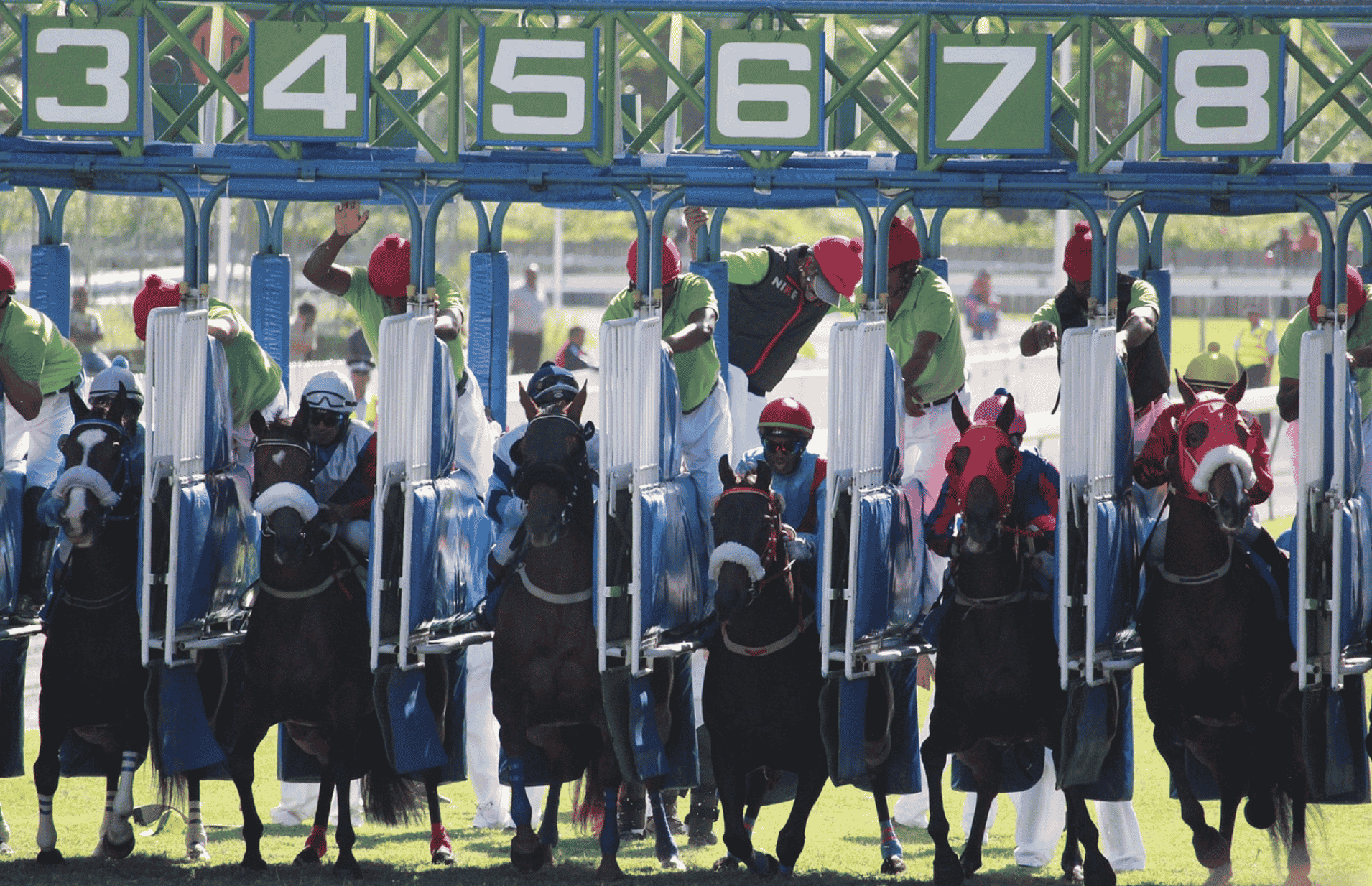 Les courses hippiques : Le guide complet