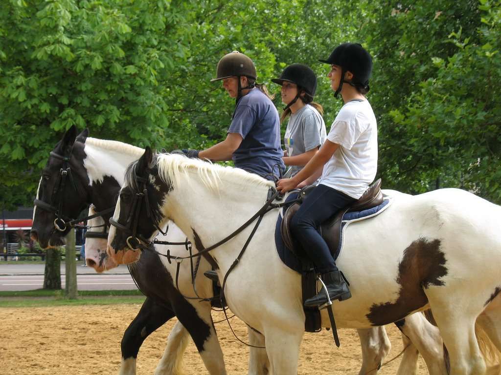 Top 5 des équipements d’équitation qu’on a tous oubliés