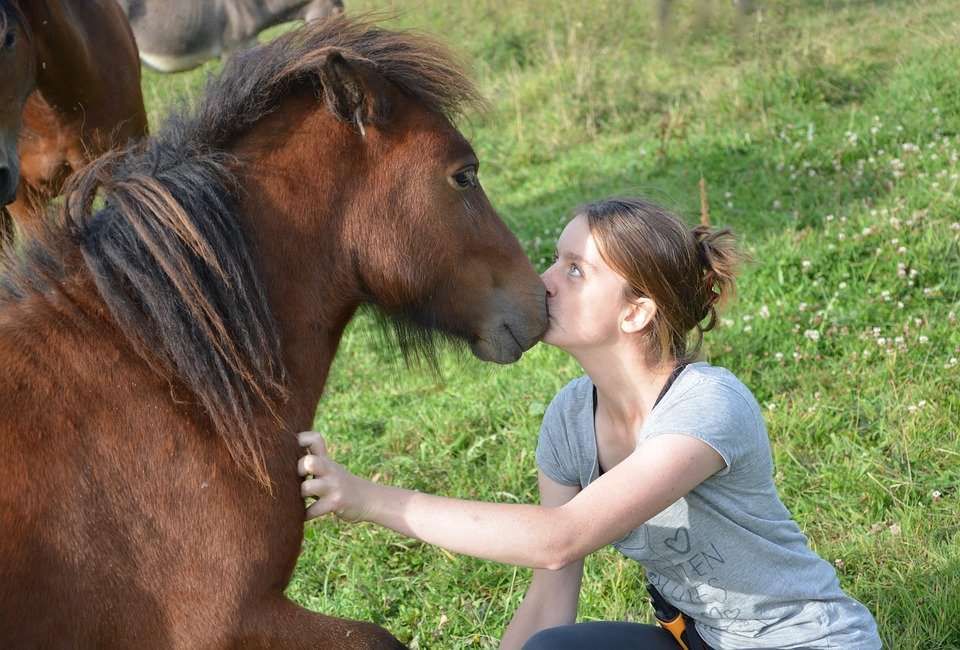 Ces trucs qui vous feront adorer les chevaux