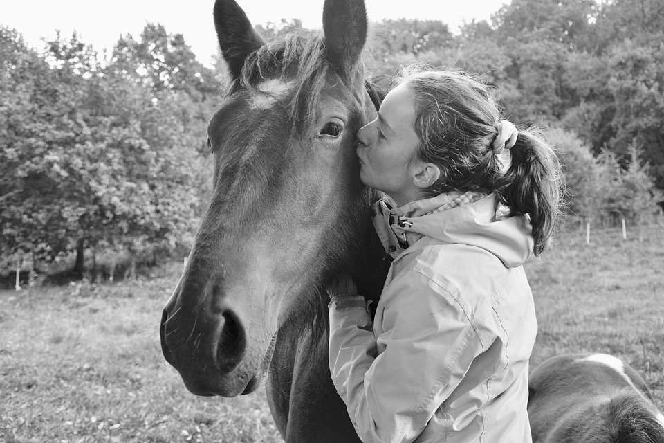 Les dix commandements du propriétaire de cheval