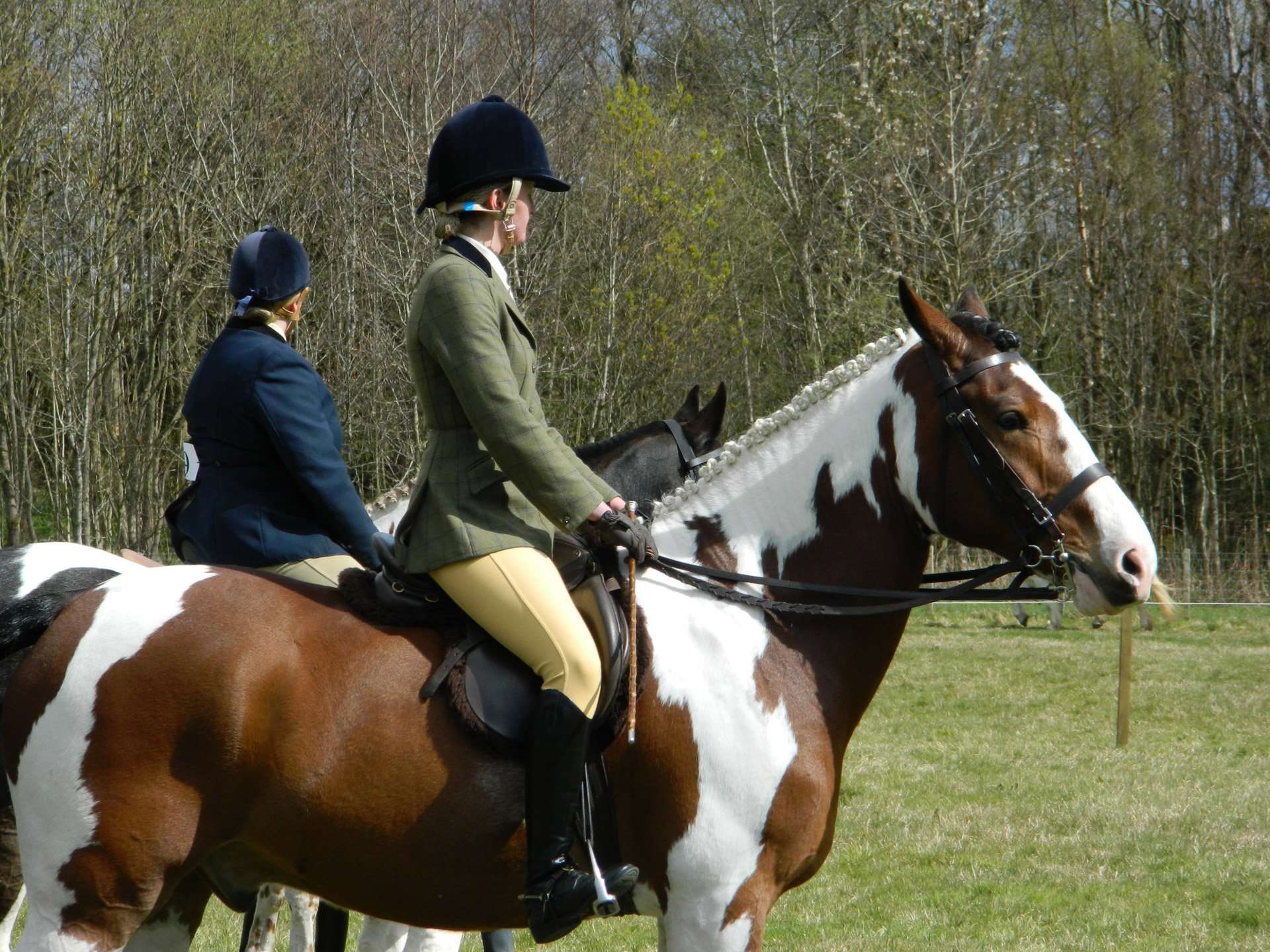 5 astuces pour reconnaître un cavalier