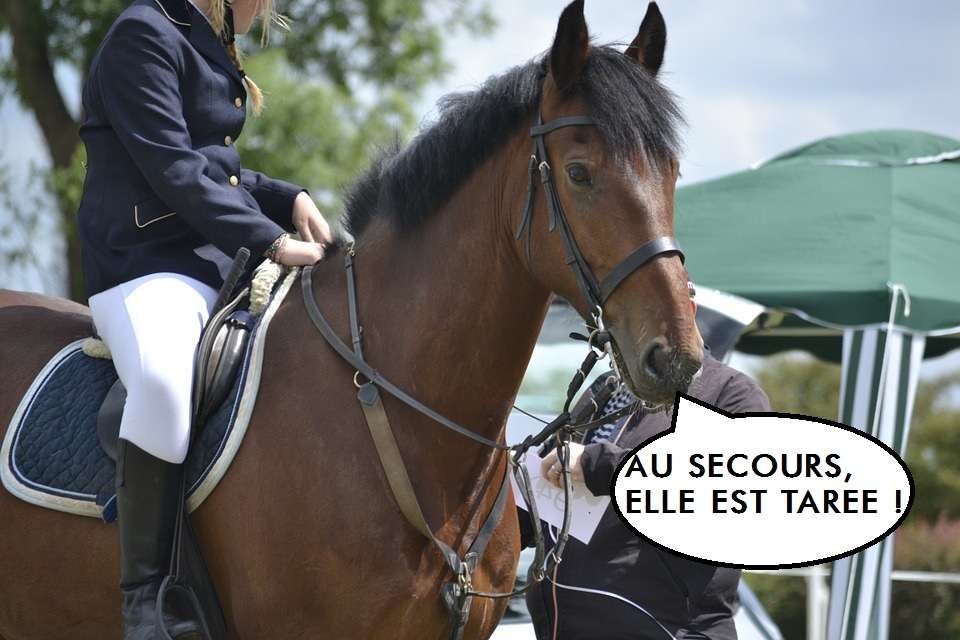 Test : Êtes-vous un cavalier normal ?
