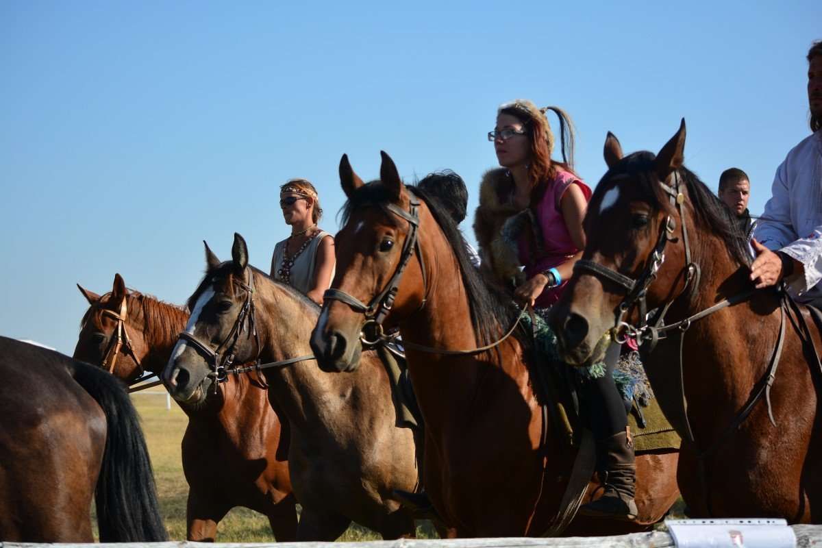 10 types de cavalier qu’on a croisé en cours d’équitation