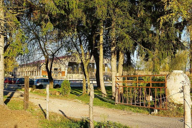 Top des raisons d’avoir son cheval en centre équestre