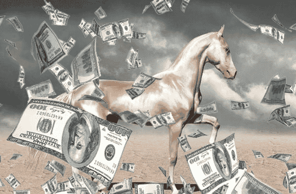 Top 5 des ventes de chevaux les plus chères au monde