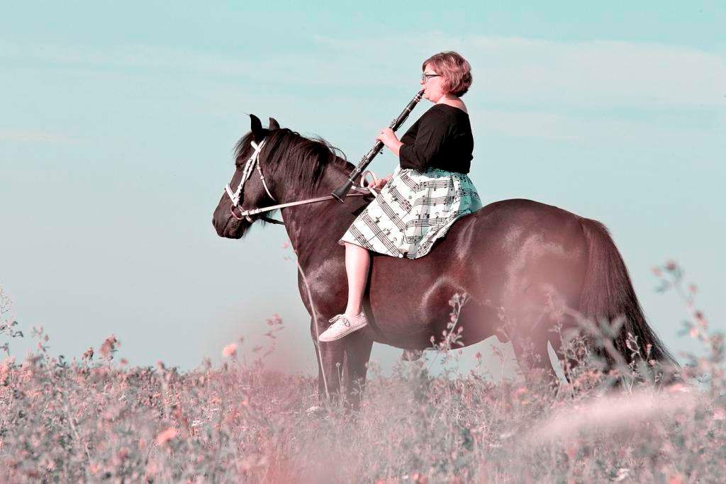 La musique et les chevaux : Chacun son instrument