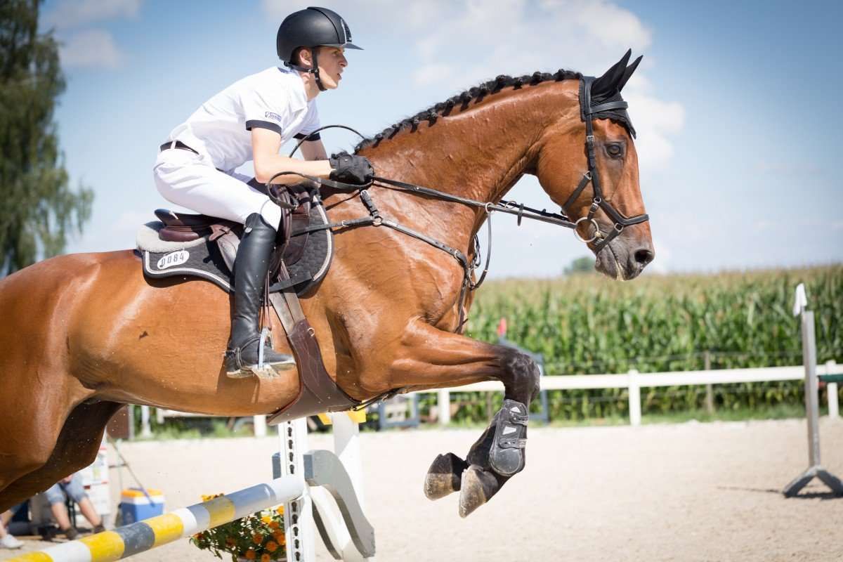Top 5 des faits qui prouvent que l’équitation est un sport