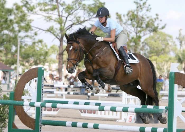 Les règles d'or du parfait cavalier de concours, celui qui sort sans-faute