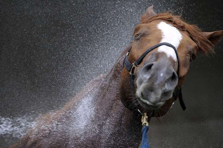 5 situations où on regretterait presque d'être cavalier