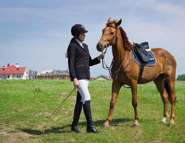 Comment vaincre sa peur des chevaux ?
