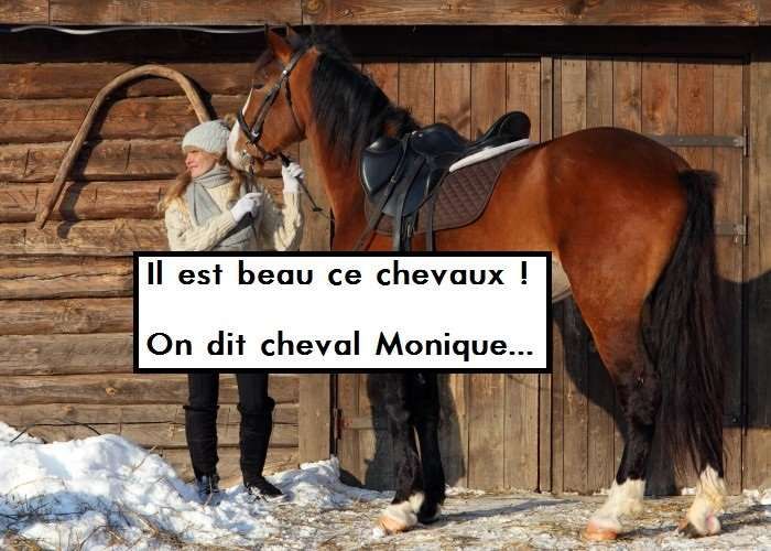 Ce vocabulaire équestre qu'on massacre à l'écrit