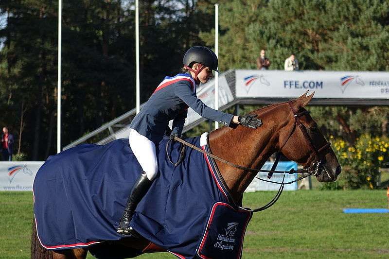 5 types de chevaux de concours