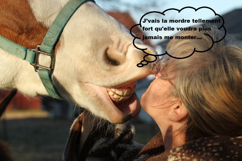 5 preuves que les chevaux démoniaques existent bel et bien