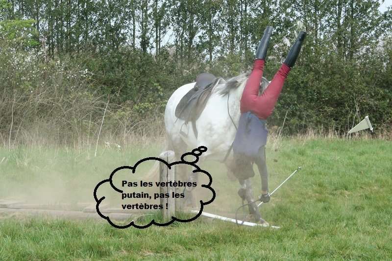 5 pensées de cavalier qui tombe