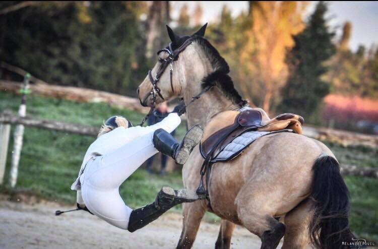 Top 10 des différentes chutes à cheval