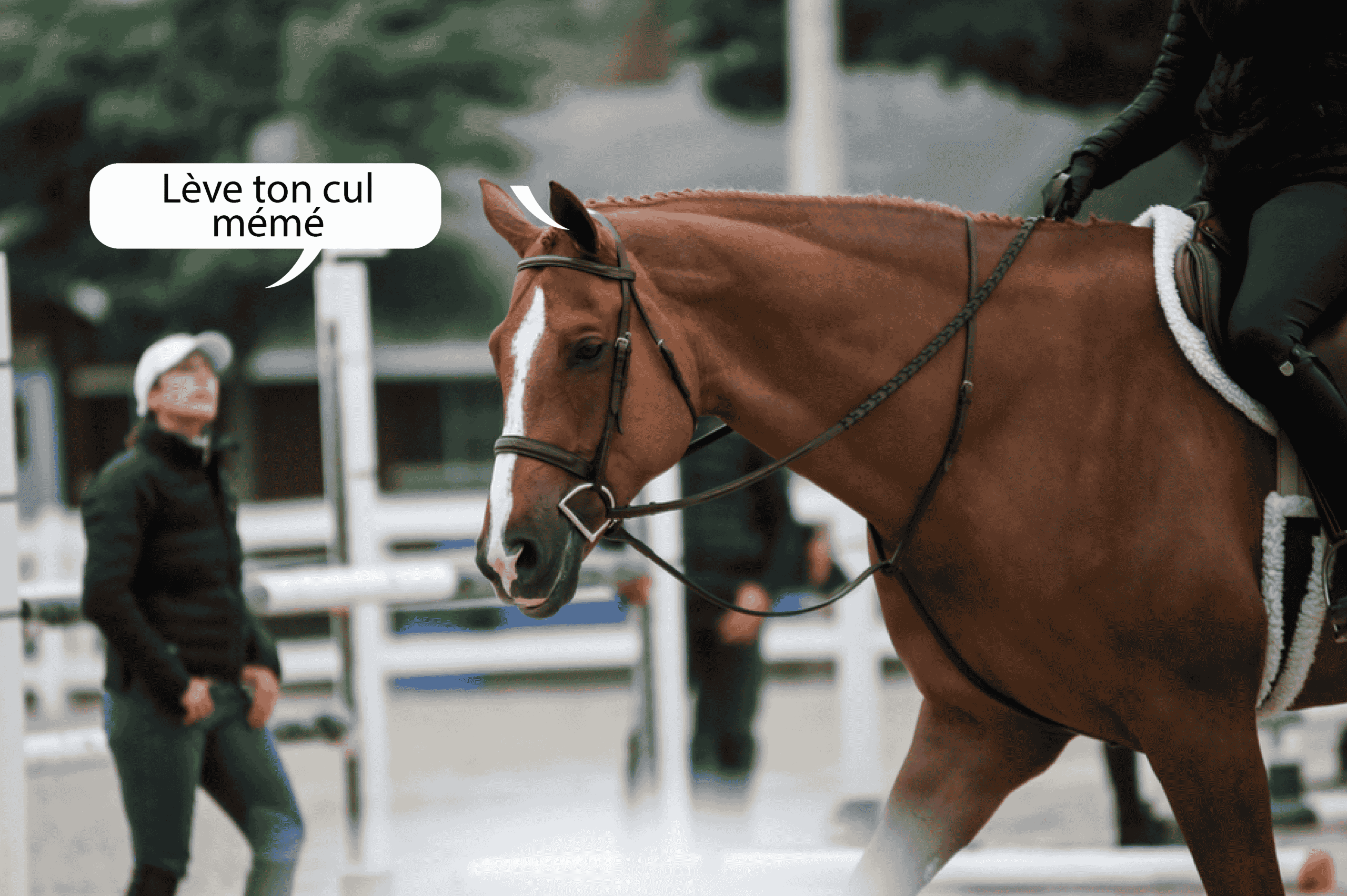 Top 10 des phrases de coach qui te gonflent