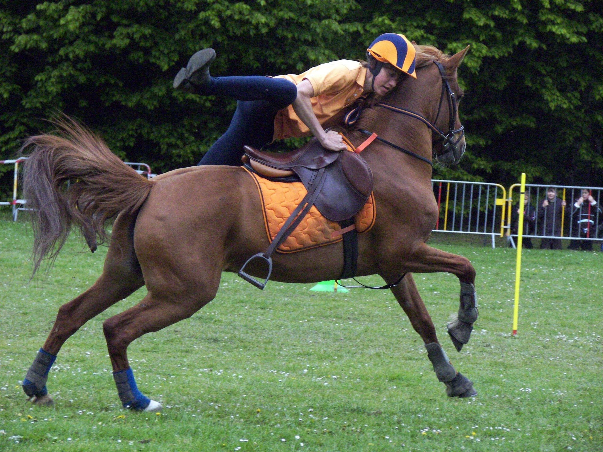 Le Pony-Games : Le guide complet