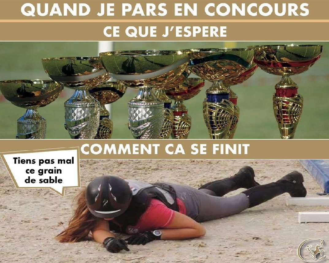 Faire un concours d'équitation, attentes vs réalité