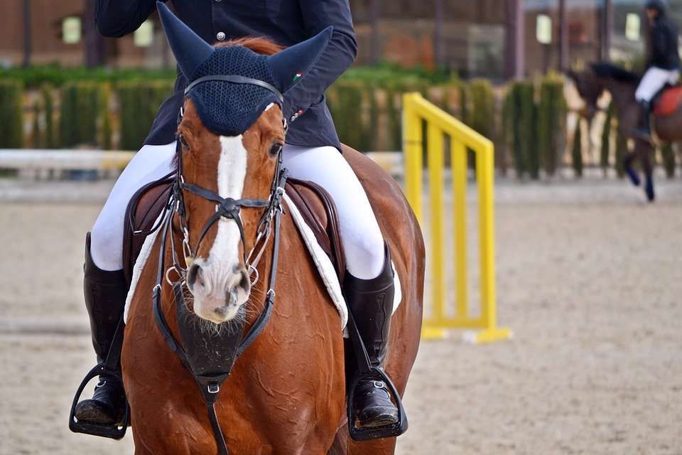 Top 5 des galères de cavalier de club