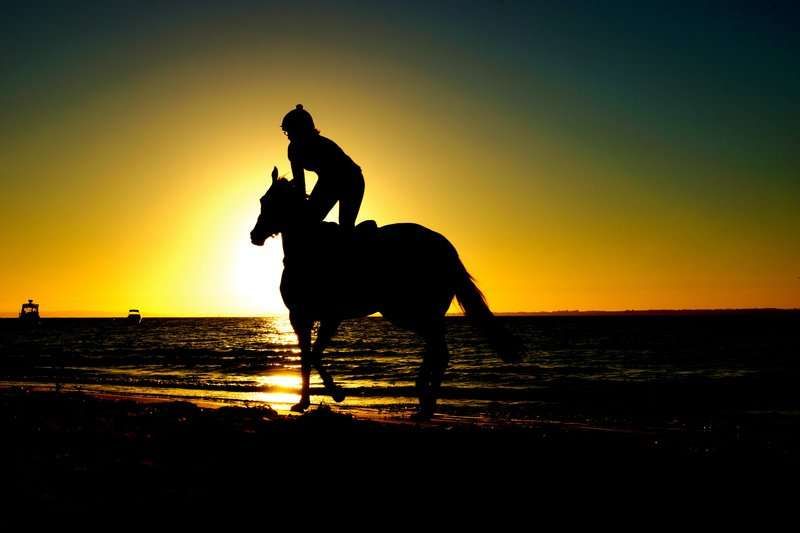 5 bonnes raisons de continuer l'équitation