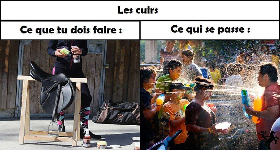 Ces corvées de cavalier qu’on déteste faire