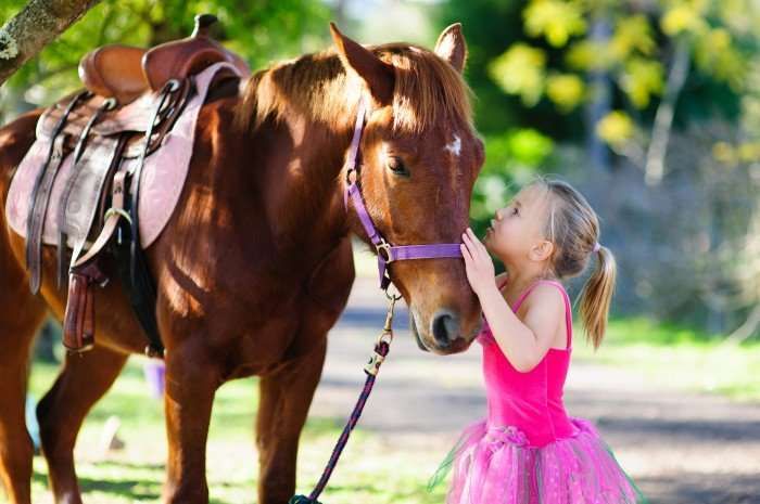Débuter l'équitation : les moments qu'on a tous vécus à poney