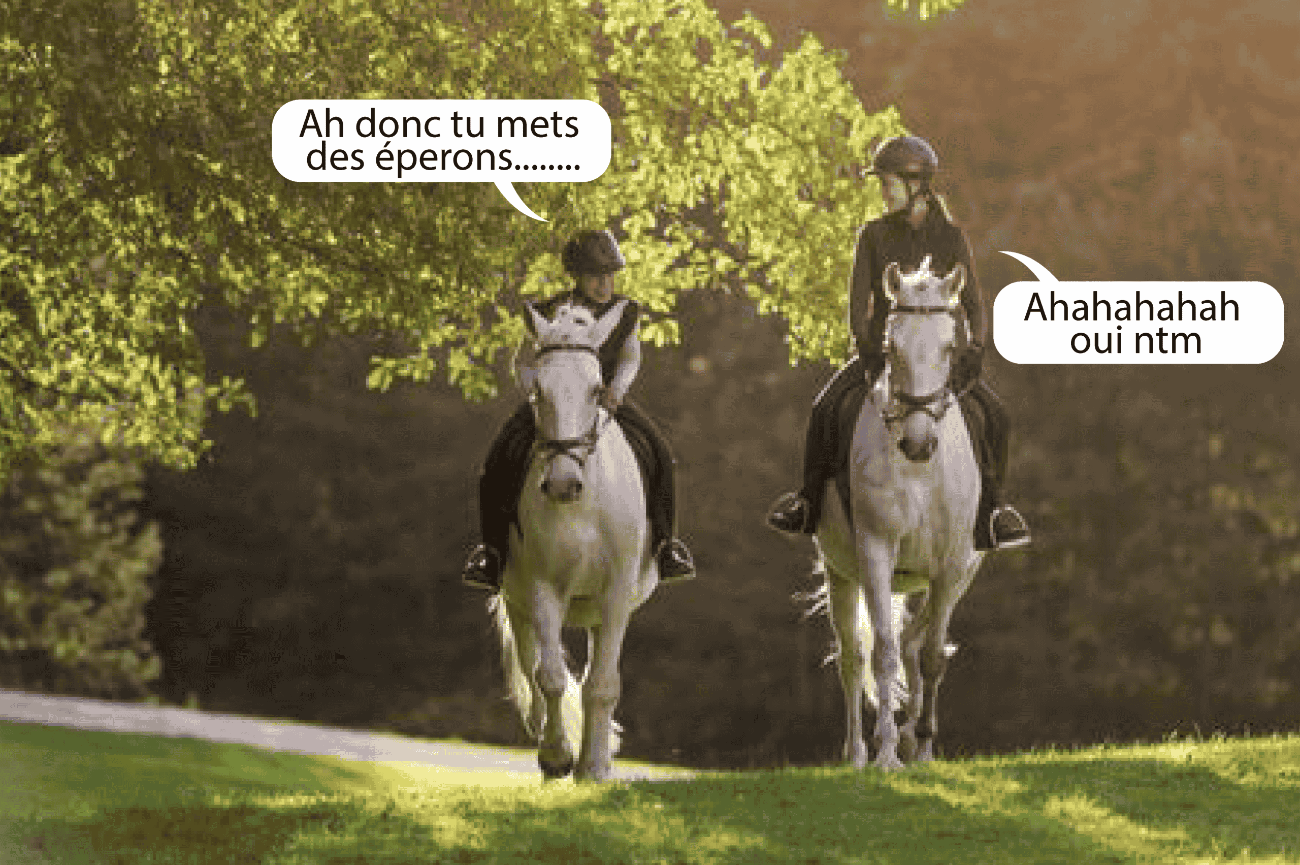 Top 5 des sujets de discorde entre cavaliers