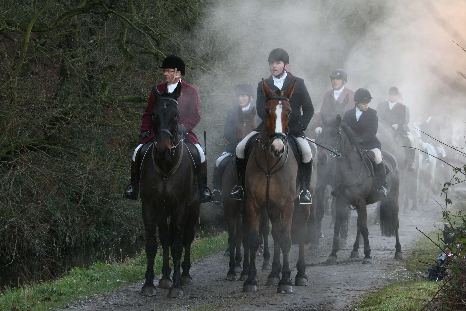 Chasseurs et cavaliers, des relations explosives?