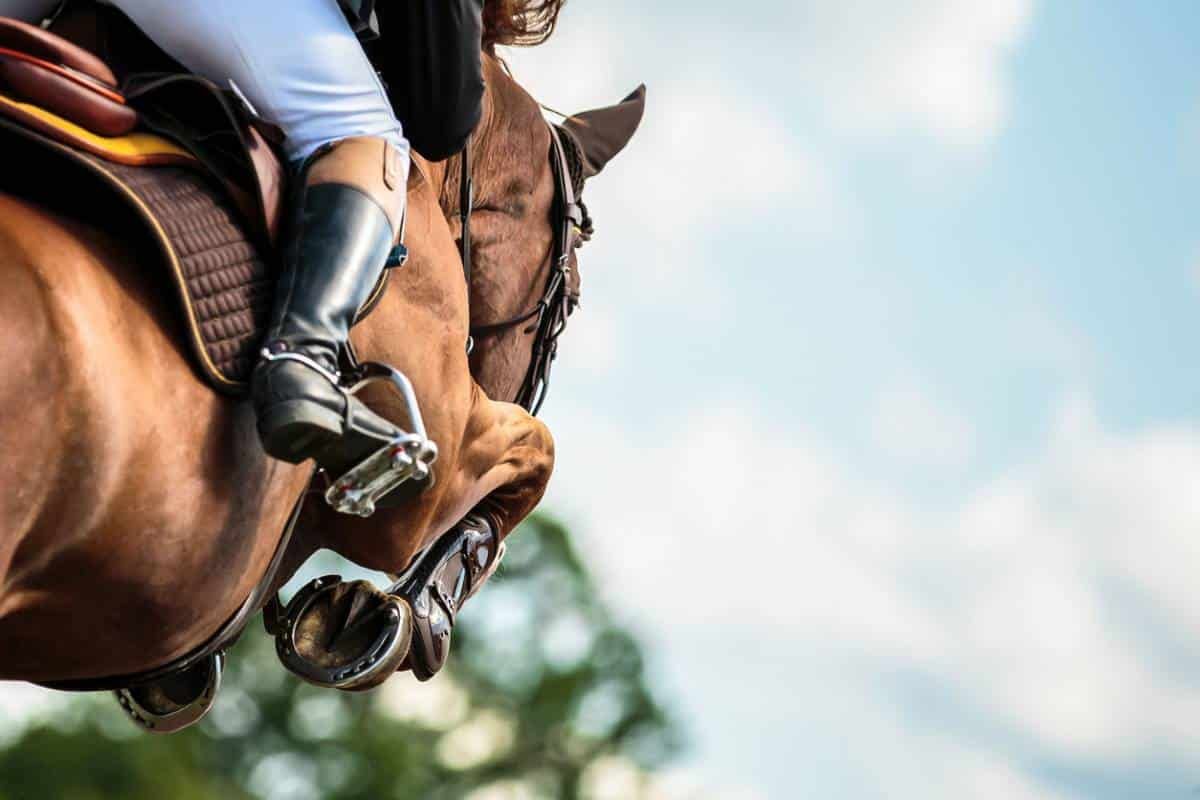 Équitation : comment choisir un tapis de selle adapté à votre discipline ?