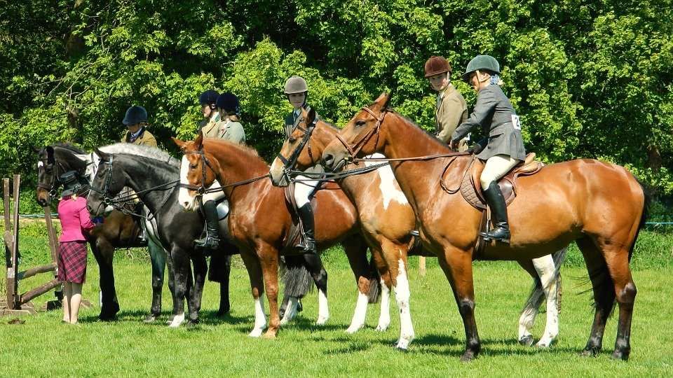 Top 5 des plus grandes déceptions de l’équitation