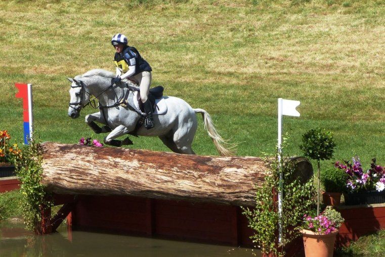 Les différents types de chevaux en cross