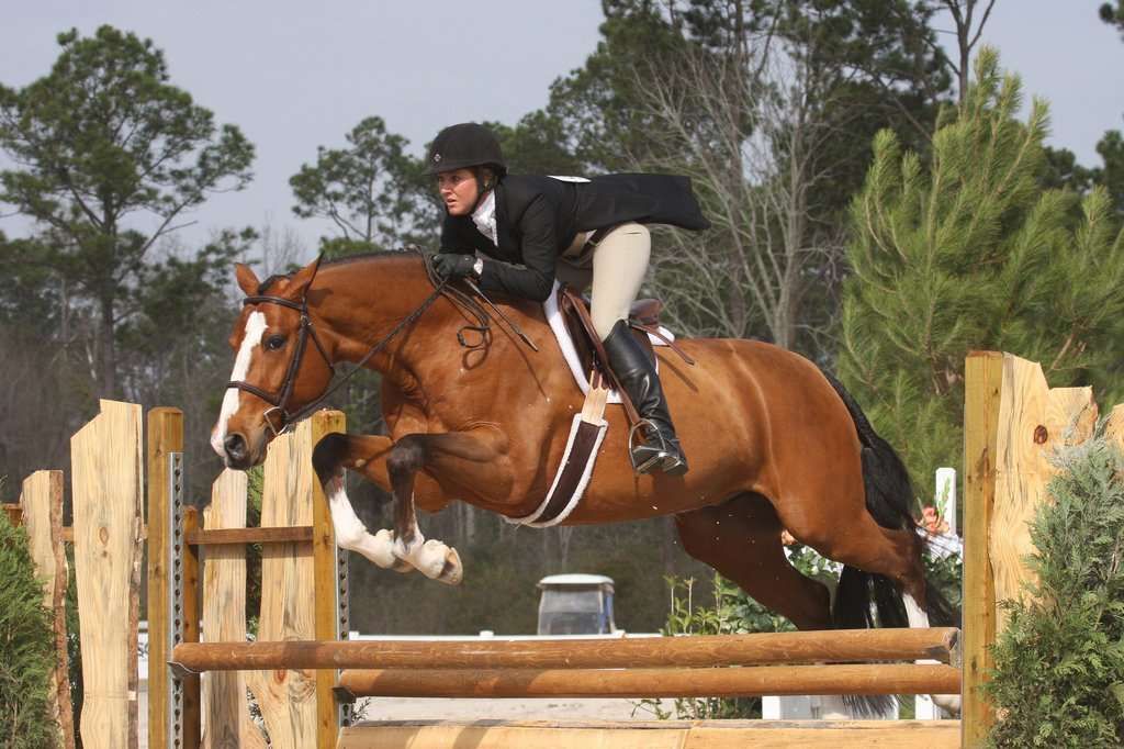 Top 10 des raisons de se mettre aux concours de hunter