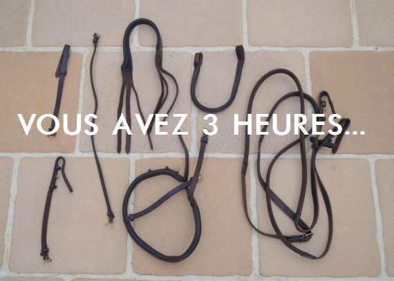 Ces petites victoires de cavalier au quotidien