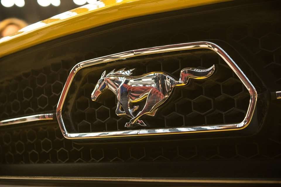 Top 5 des marques avec des noms équestres