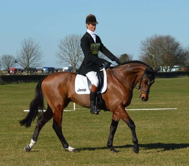 Top 5 des galères insoupçonnables du grand cavalier
