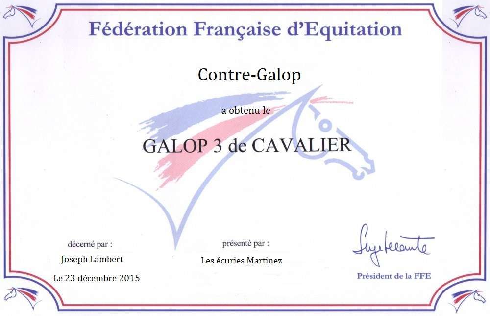 Le Galop 3 : Le guide complet